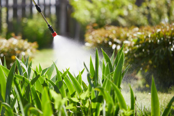 24/7 Emergency Mosquito Control experts in Crestview Hills, KY